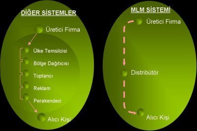 mlmSistemi